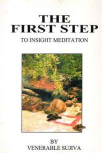 THE FIRST STEP TO INSIGHT MEDITATION